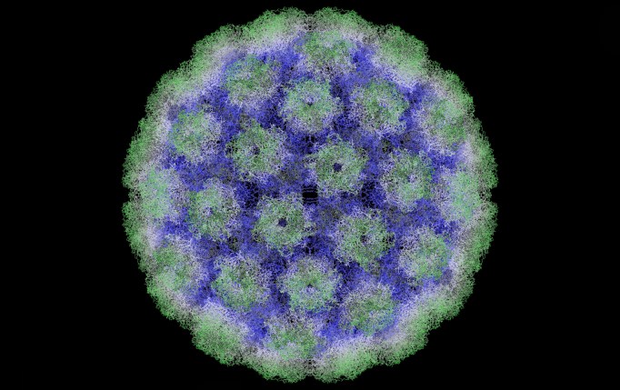 HPV男性患者一年后可能再感染率为20倍