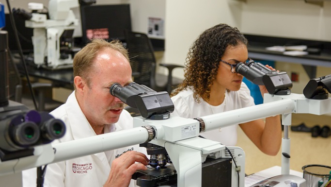 “医生的医生”：病理学家如何帮助诊断疾病并找到最佳治疗方案