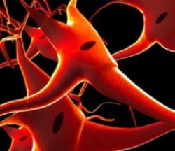 2019年2月7-9日（芝加哥）第24届年会：Rodney Appell纪念医院妇科泌尿学最新进展