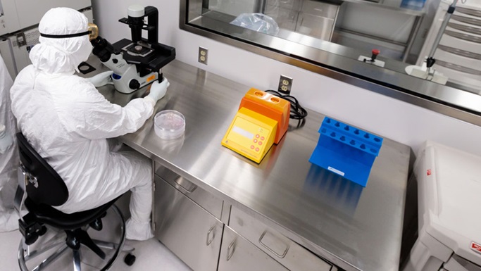 干细胞移植团队如何通过内部优化来提高患者存活率