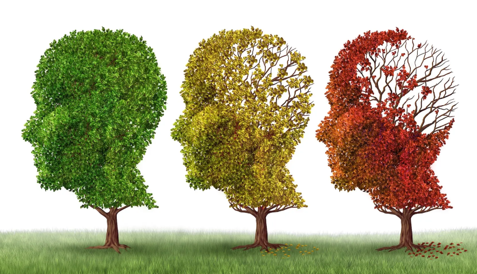 记忆力减退：辨别正常情况与异常信号