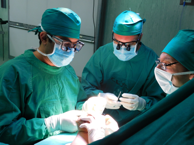 从芝加哥到秘鲁的援助之手