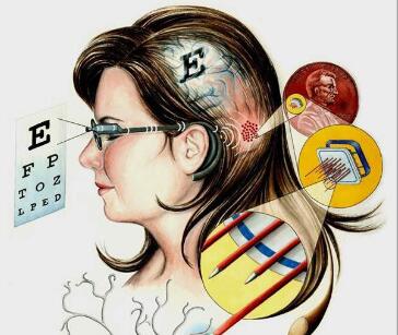 芝加哥大学获得NIH240万美元资助用于构建视觉假体