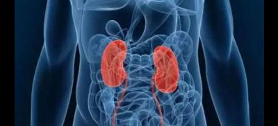 机器人辅助手术治疗少年患者的复杂肾脏疾病 机器人辅助手术治疗少年患者的复杂肾脏疾病